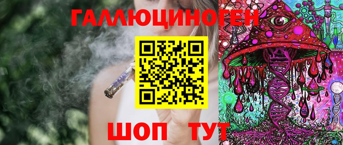 Псилоцибиновые грибы Cubensis Углич